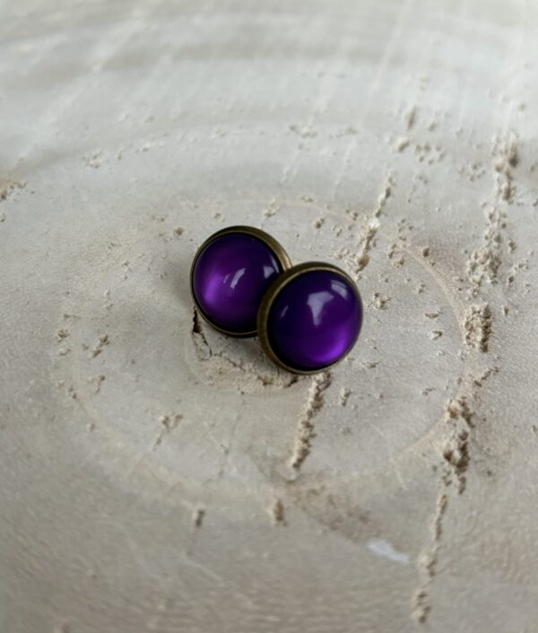 Polaris oorsteker - LUCIDO GRAPE PURPLE